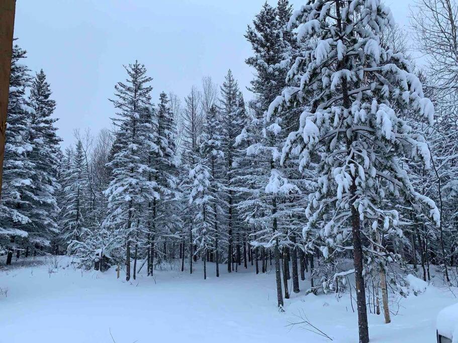 Appartement Mont Edouard, Hebergement Paisible A La Montagne LʼAnse-Saint-Jean Zewnętrze zdjęcie