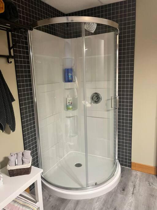 Appartement Mont Edouard, Hebergement Paisible A La Montagne LʼAnse-Saint-Jean Zewnętrze zdjęcie