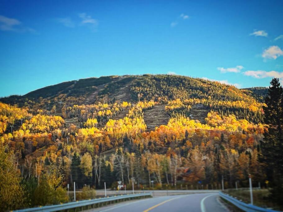 Appartement Mont Edouard, Hebergement Paisible A La Montagne LʼAnse-Saint-Jean Zewnętrze zdjęcie