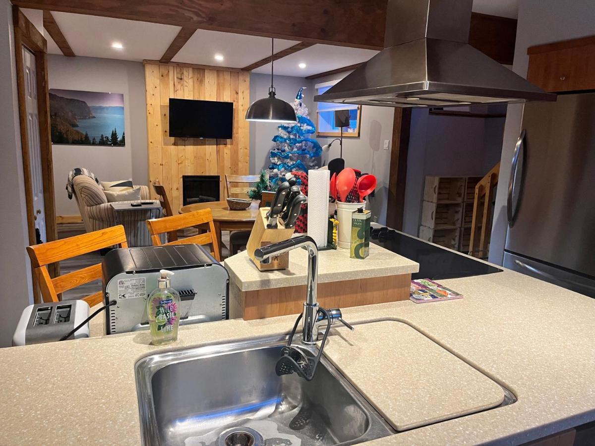 Appartement Mont Edouard, Hebergement Paisible A La Montagne LʼAnse-Saint-Jean Zewnętrze zdjęcie