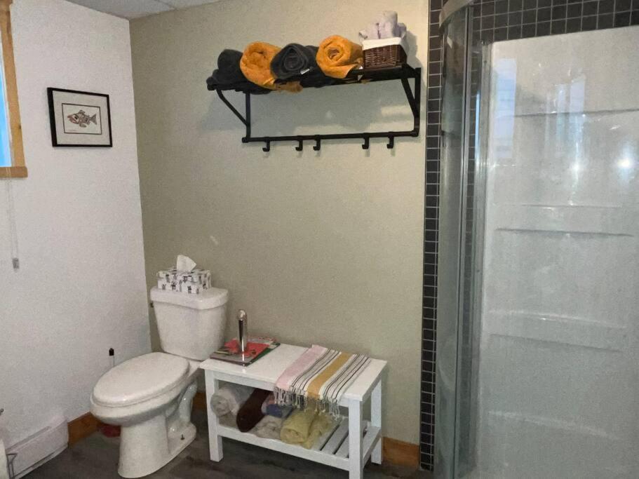 Appartement Mont Edouard, Hebergement Paisible A La Montagne LʼAnse-Saint-Jean Zewnętrze zdjęcie