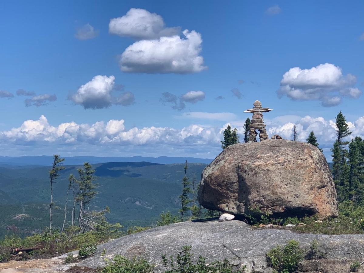 Appartement Mont Edouard, Hebergement Paisible A La Montagne LʼAnse-Saint-Jean Zewnętrze zdjęcie