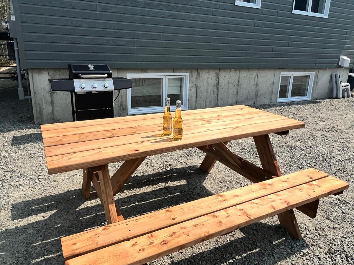 Appartement Mont Edouard, Hebergement Paisible A La Montagne LʼAnse-Saint-Jean Zewnętrze zdjęcie