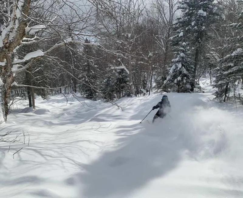 Appartement Mont Edouard, Hebergement Paisible A La Montagne LʼAnse-Saint-Jean Zewnętrze zdjęcie